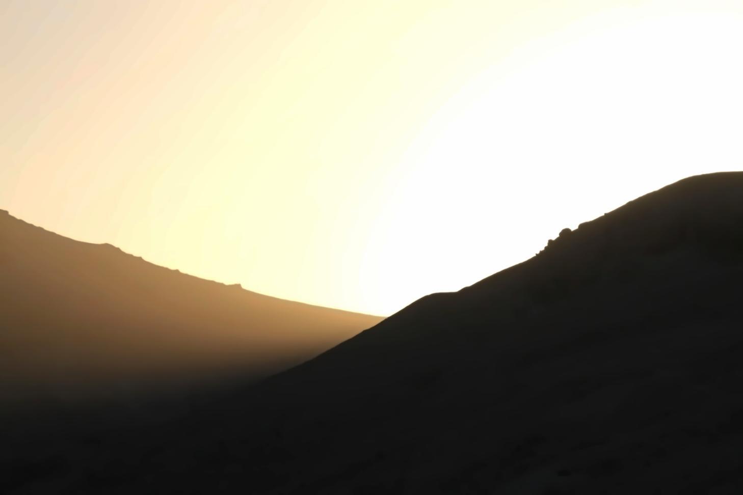 Personne analysant des documents de travail collaboratif